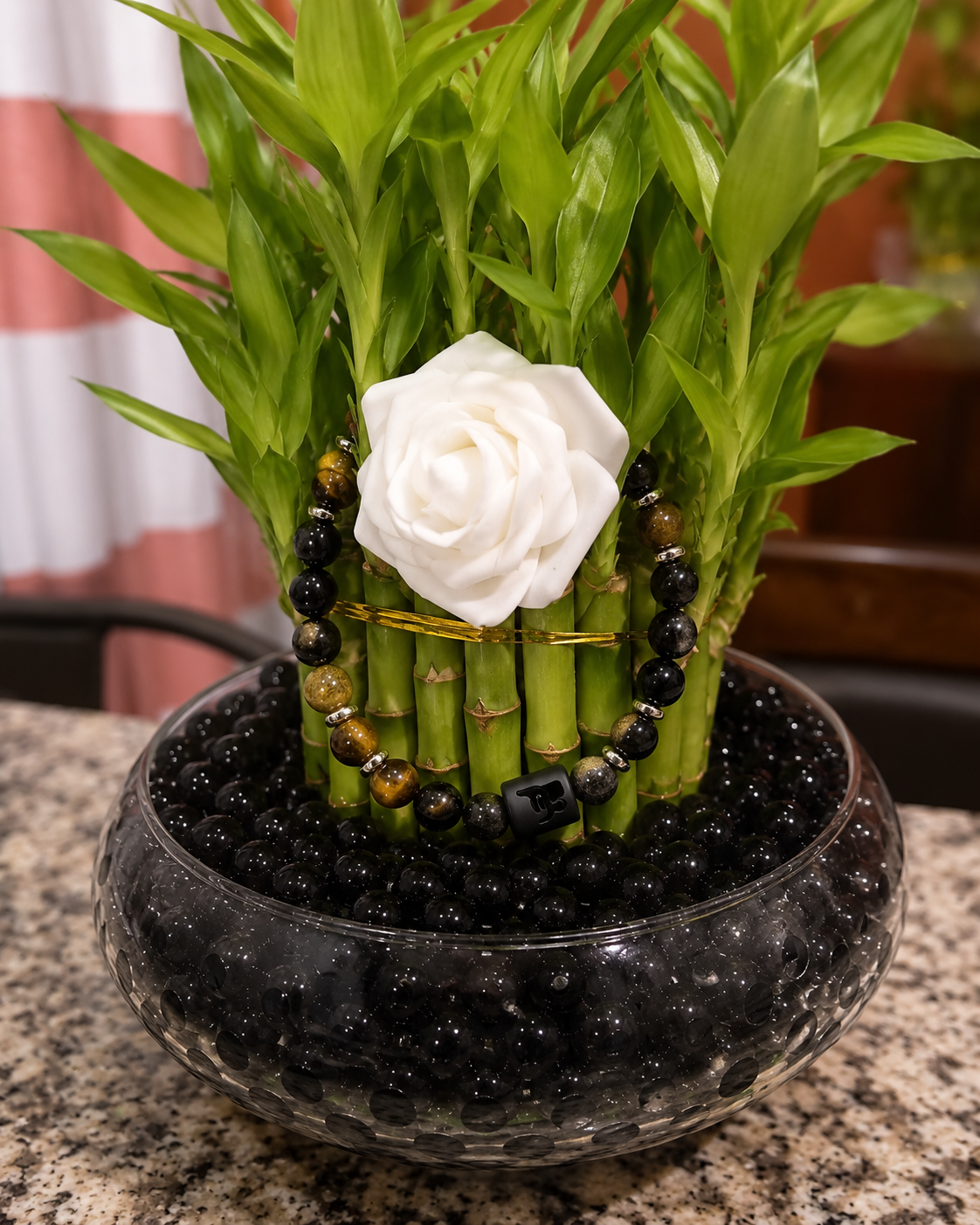 🎍 Prosperity Bamboo Bundle