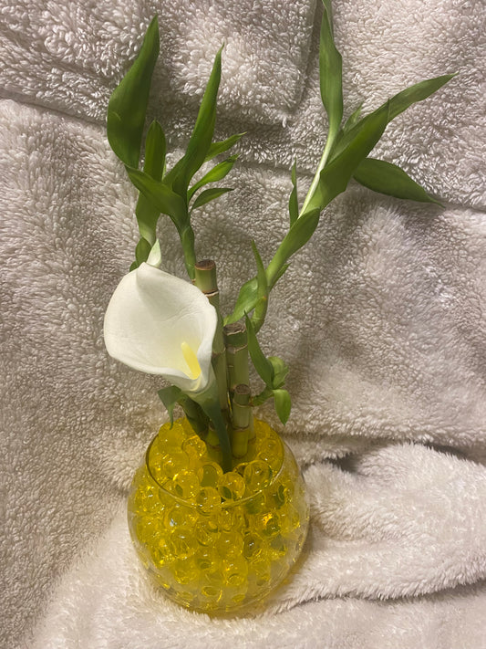 Small bamboo arrangement