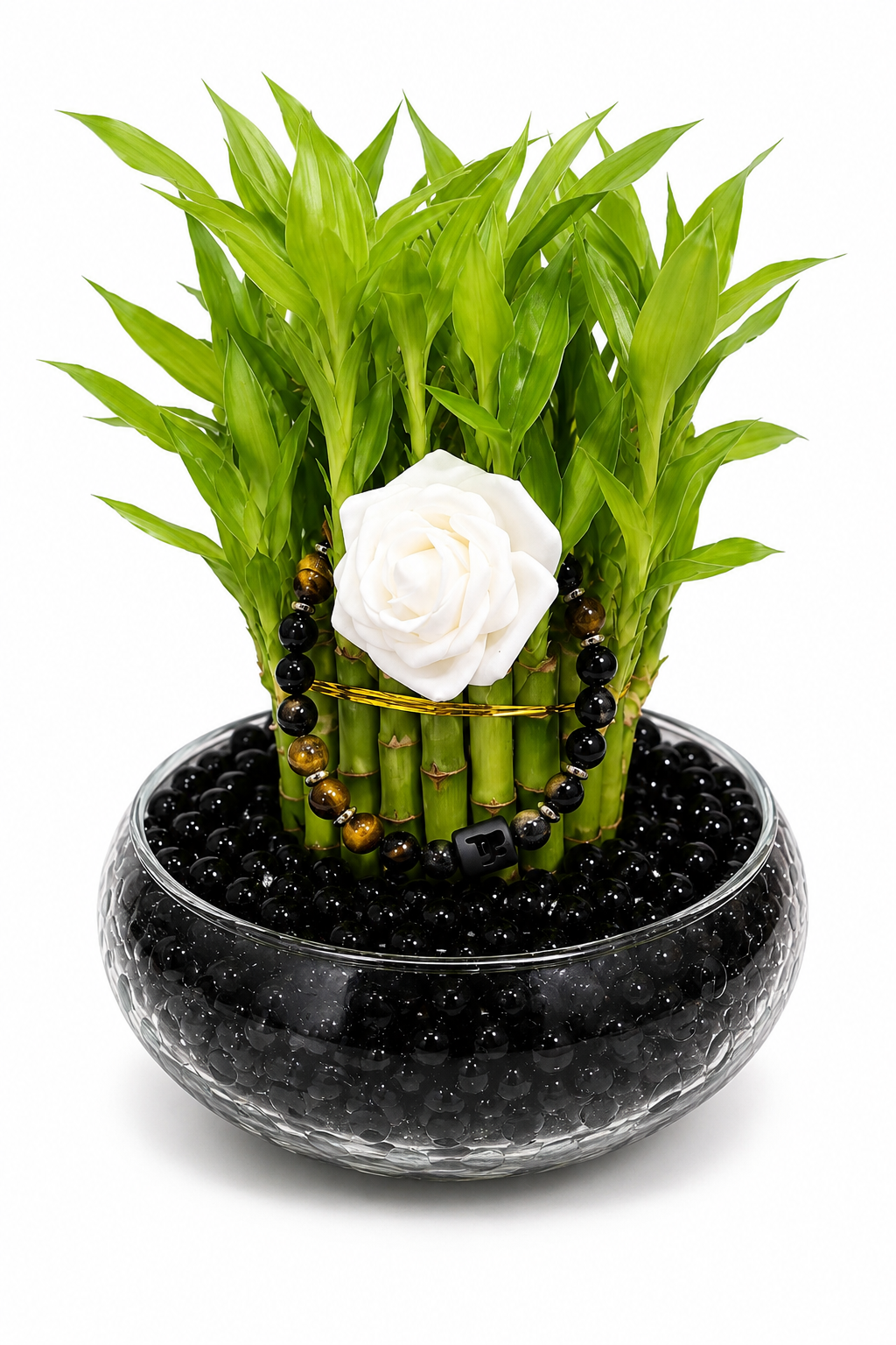 Bamboo Blessings