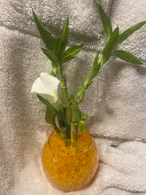 Load image into Gallery viewer, Small bamboo arrangement
