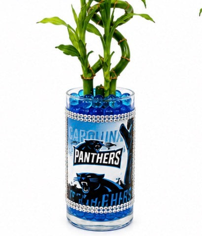 🏈 Panthers Bamboo Arrangement