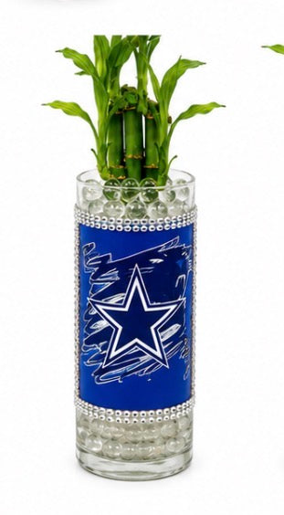 🤠 Cowboys Bamboo Arrangement