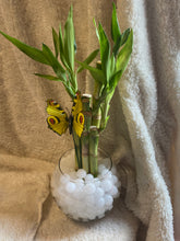 Load image into Gallery viewer, Small bamboo arrangement
