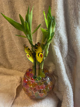 Load image into Gallery viewer, Small bamboo arrangement
