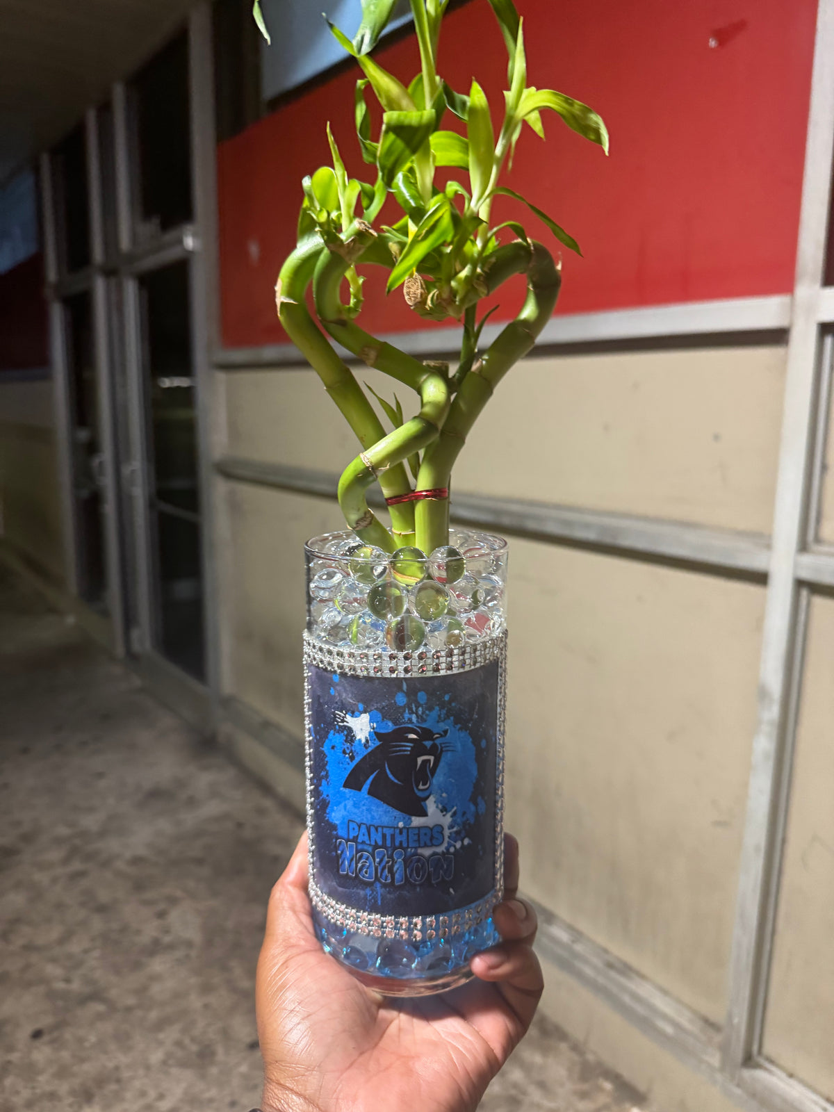 Personalized Light-Up Lucky Bamboo Arrangement