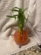 Load image into Gallery viewer, Small bamboo arrangement
