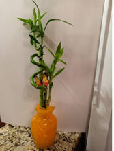Load image into Gallery viewer, Custom 5 stalks bamboo arrangement
