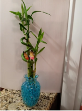 Load image into Gallery viewer, Custom 5 stalks bamboo arrangement
