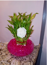 Load image into Gallery viewer, Custom 3 tier liquid crystal bamboo arrangement
