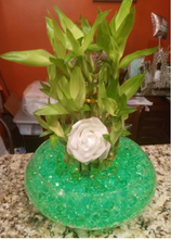 Load image into Gallery viewer, Custom 3 tier liquid crystal bamboo arrangement
