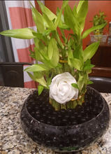 Load image into Gallery viewer, Custom 3 tier liquid crystal bamboo arrangement
